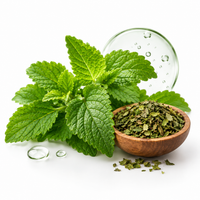 Lemon Balm